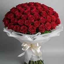 Букет 101 Красная роза Блэк Мэджик в Серпухове