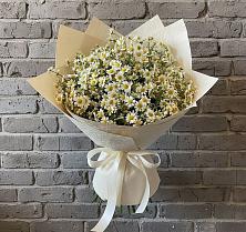Букет цветов из:  Ромашки #REPLACE_PRED# Серпухове