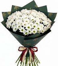 Букет цветов из:  Хризантемы в Серпухове