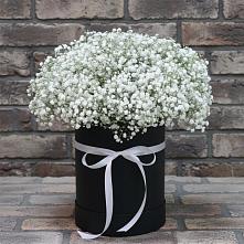 Цветочная композиция из Гипсофила в шляпной коробке в Серпухове