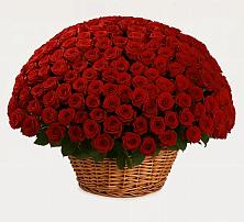 Премиум букет из: Розы в Серпухове